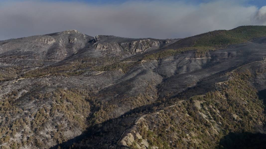 Sakarya'da yürek acıtan görüntüler: Yangının bıraktığı hasar ortaya çıktı 6